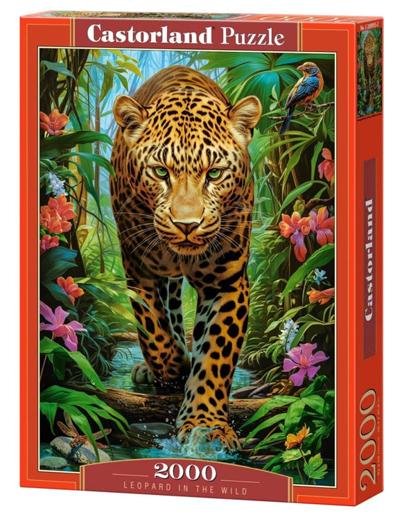 Leopard in the Wild (2000 pieces)