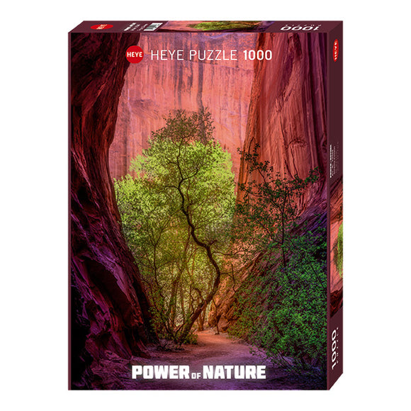 Singing Canyon (1000 pieces)