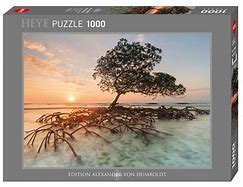 Red Mangrove (1000 pieces)